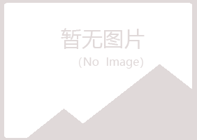 鲁山县盼夏机械有限公司